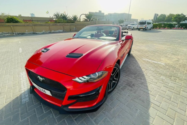 MUSTANG