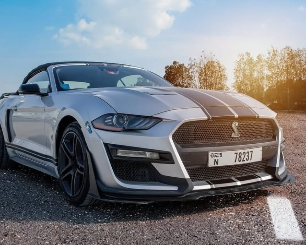Mustang
